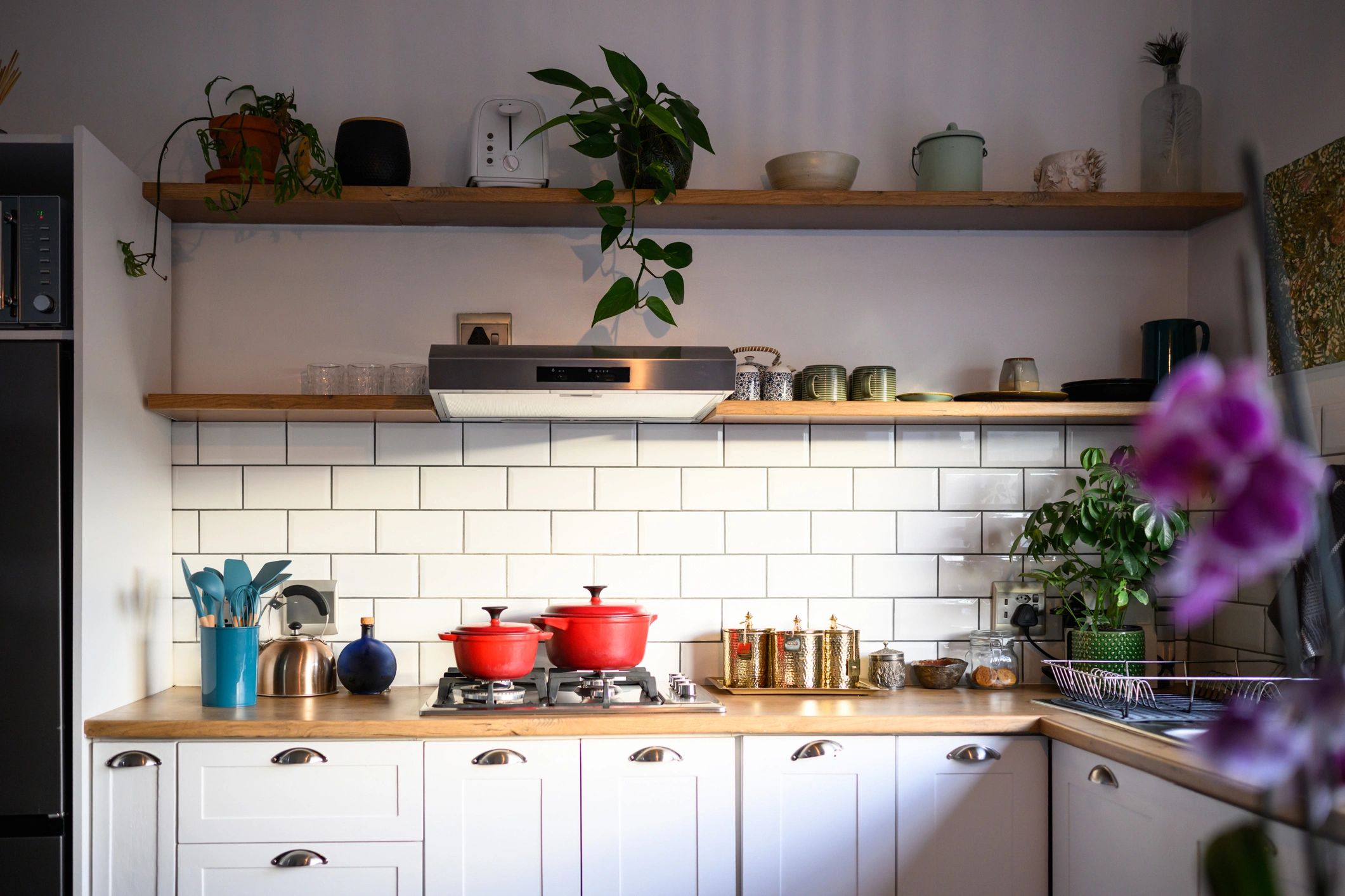 Bright and clean modern kitchen